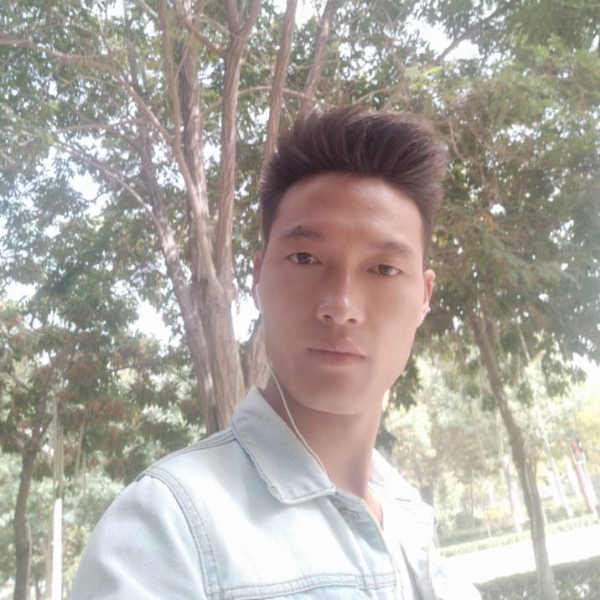 愿能重生的照片