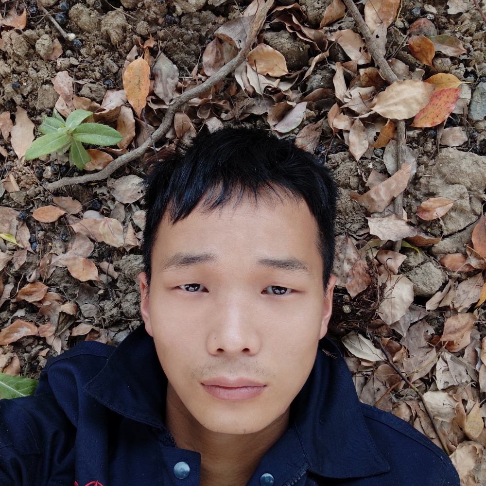 艾龙的照片