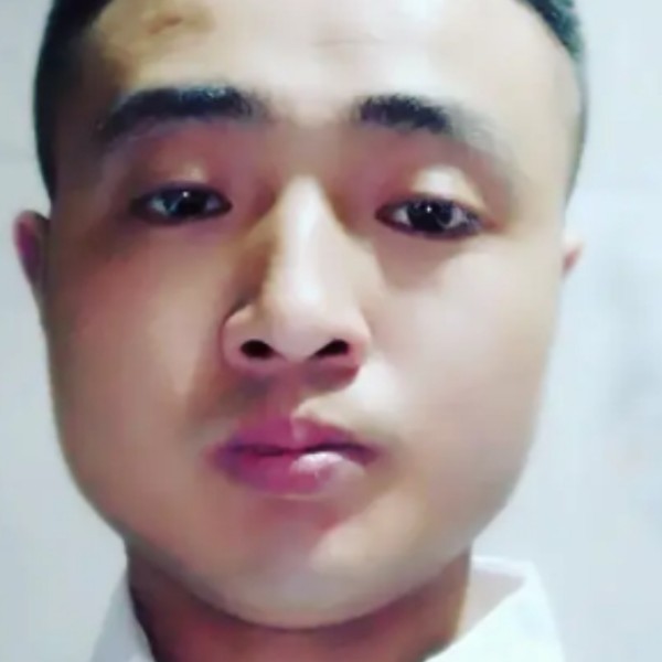 毛巾幽默的照片