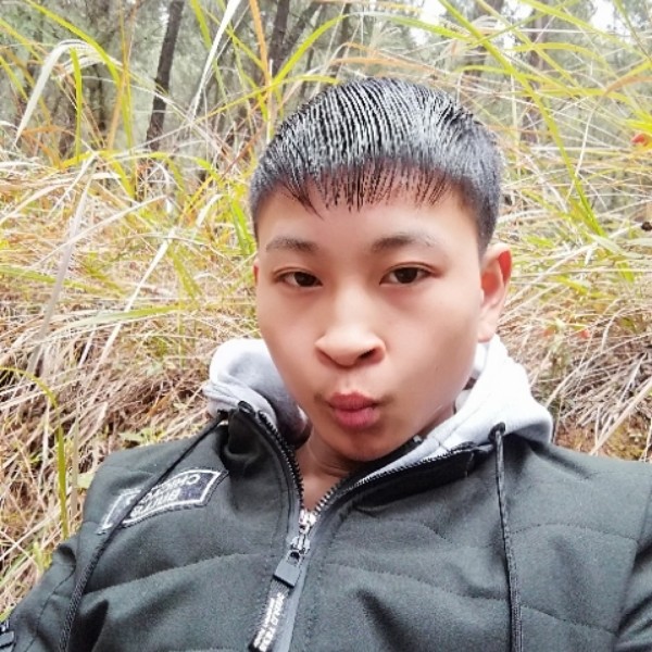 要减肥斑马的照片