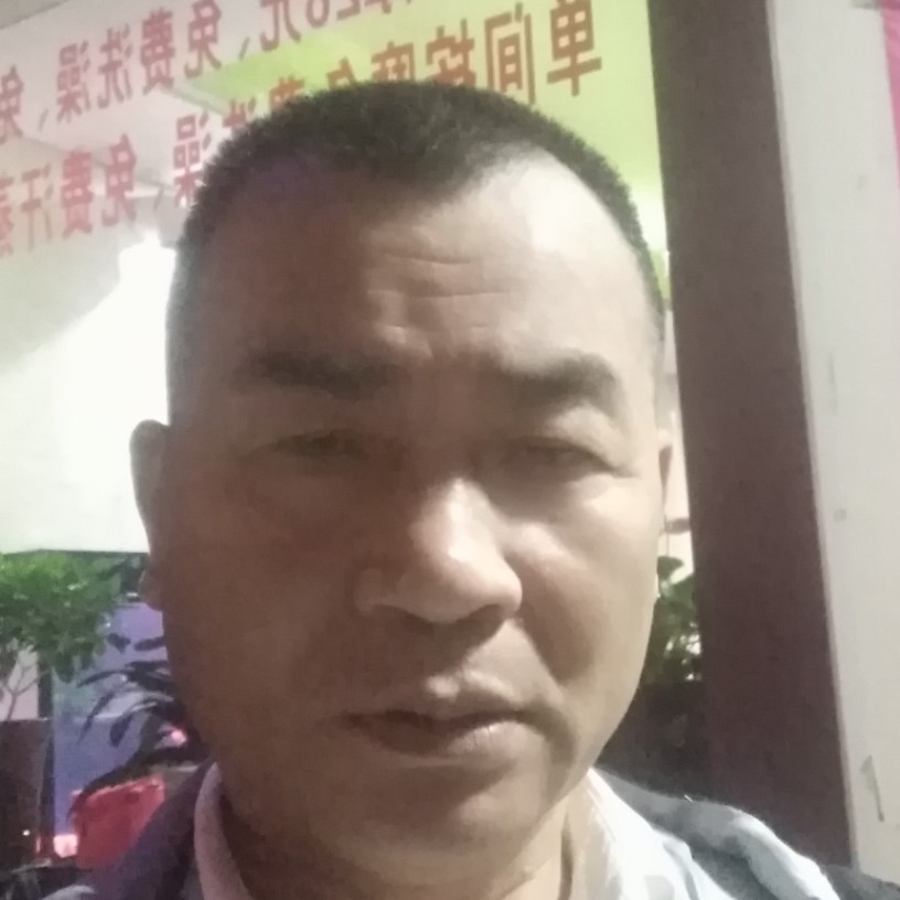 痴情给玫瑰的照片