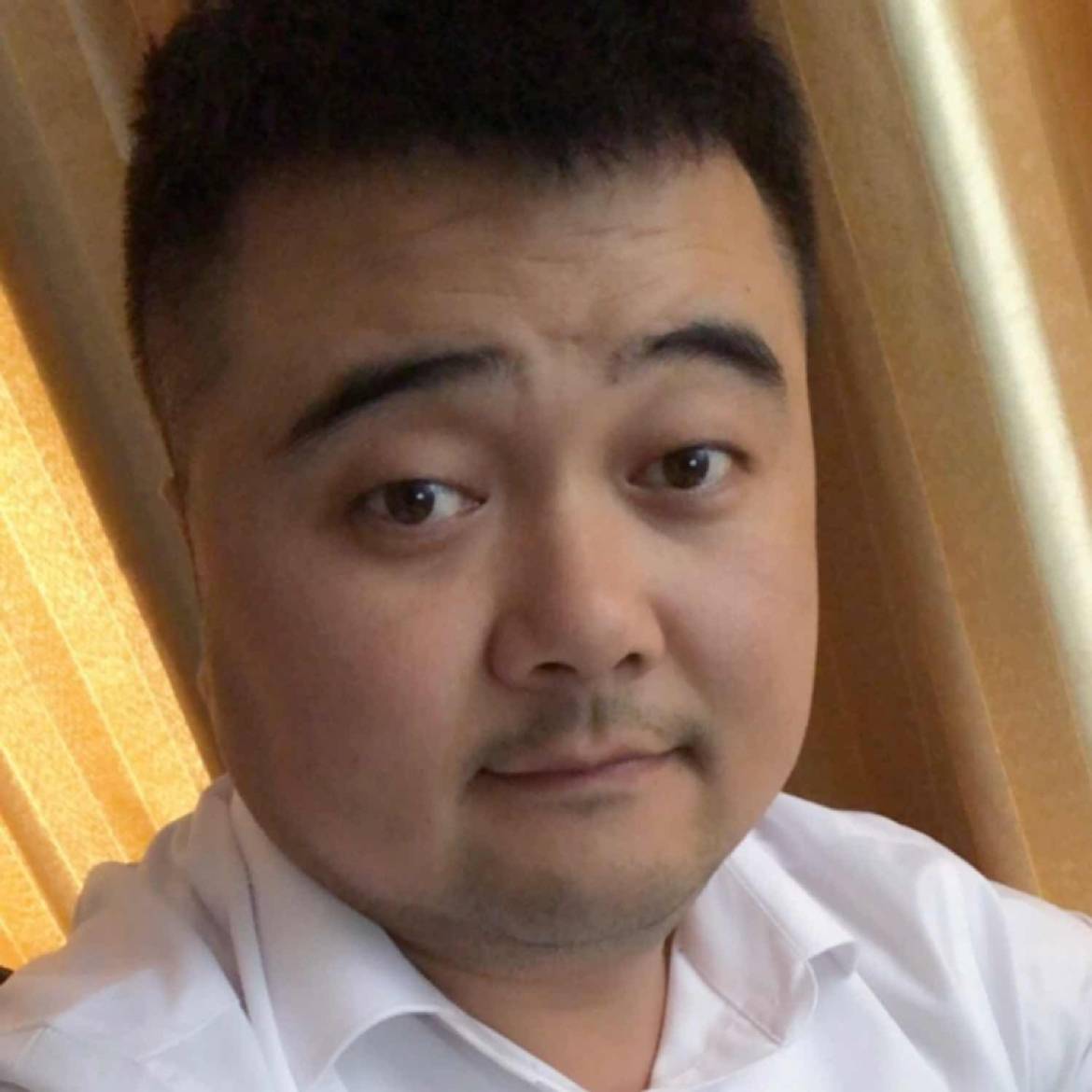老虎优雅的照片