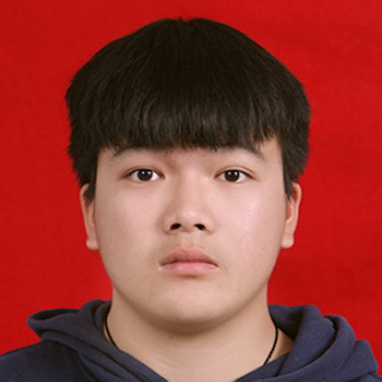 爱江山阿狸的照片