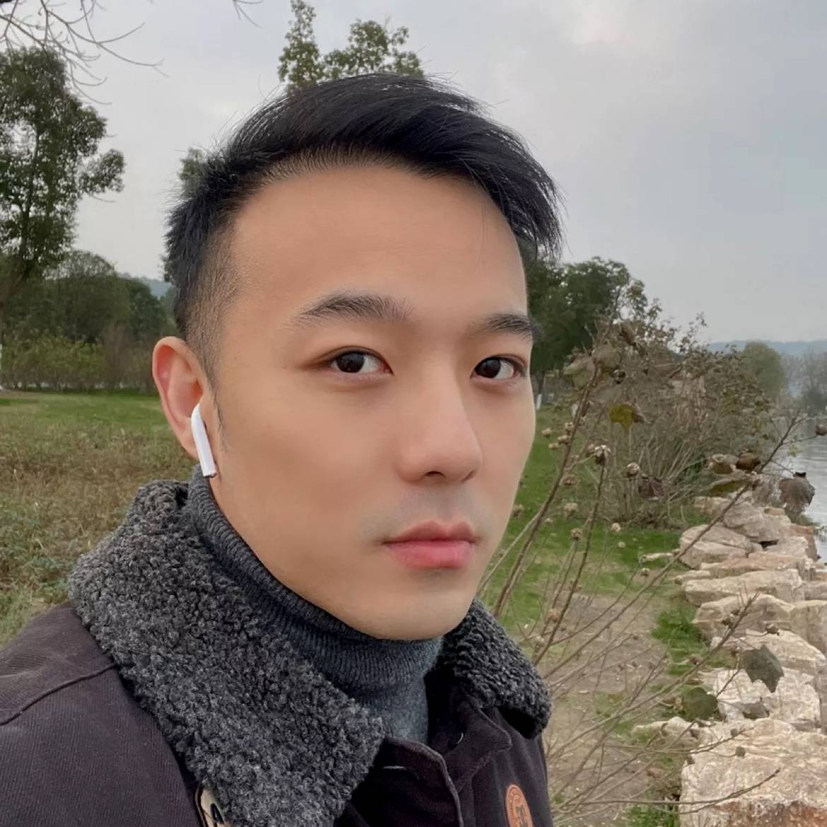 树叶那激昂的照片