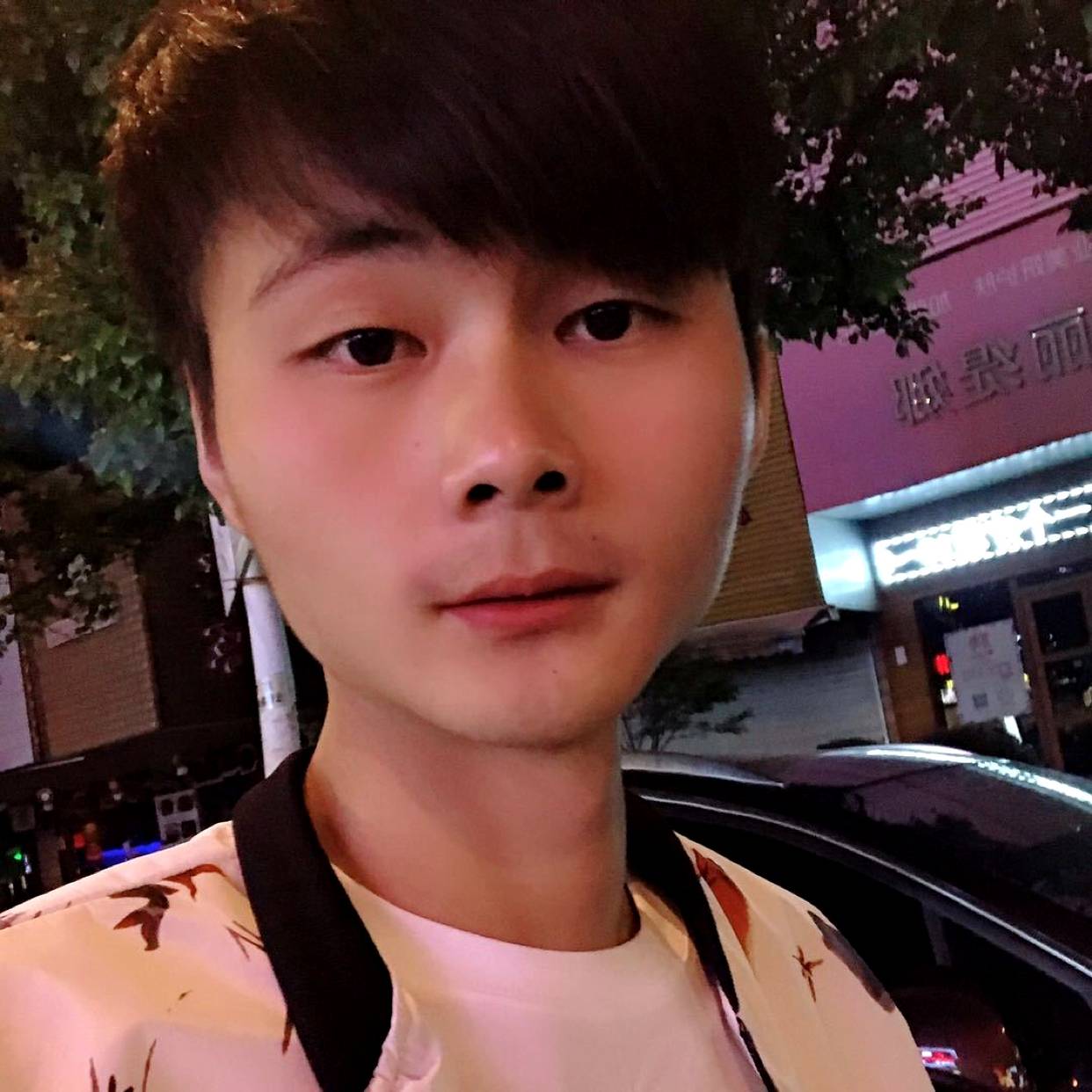 孤心蹁跹自由的照片