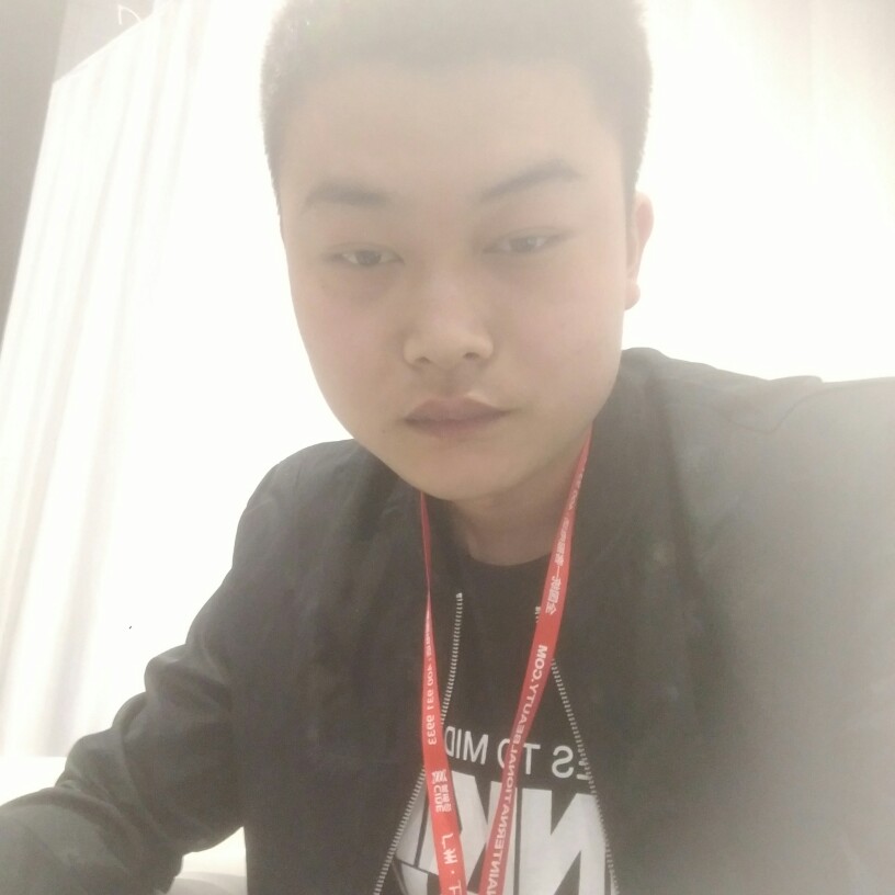 猫咪错落的照片