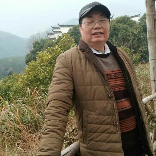 笨鸟单飞的照片