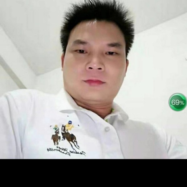 单纯凝眸黄蜂的照片