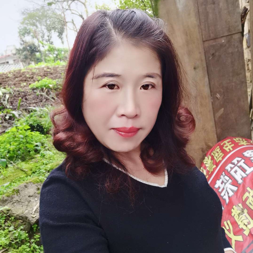 树的年轮的照片