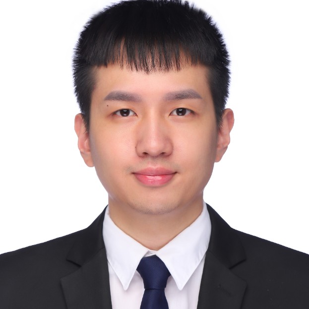 迟到的小海豚的照片