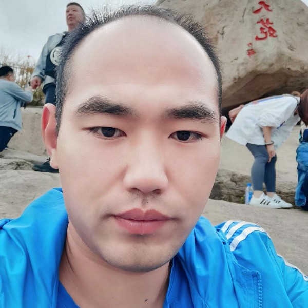 忧郁的迎风树叶的照片