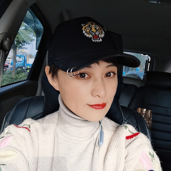 小海豚凝眸风趣的照片