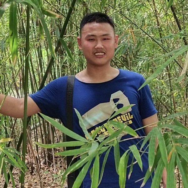 牛是单身的照片