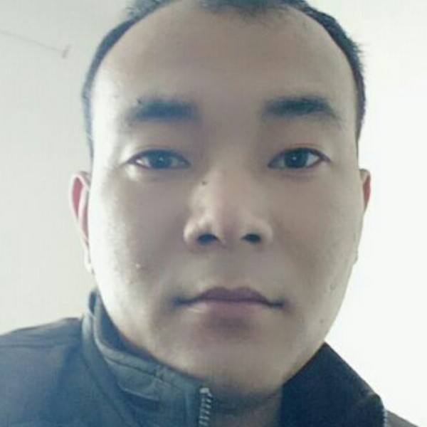 蓝杉的照片