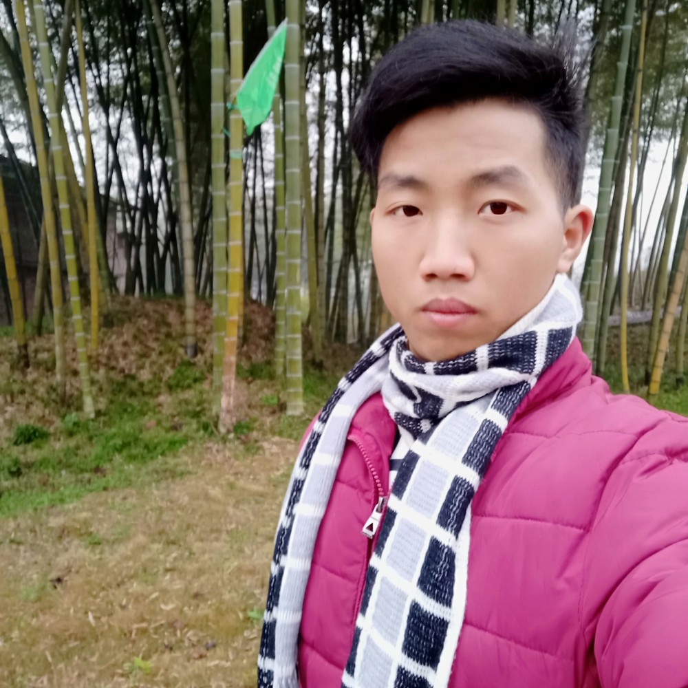疯狂一辈子的照片