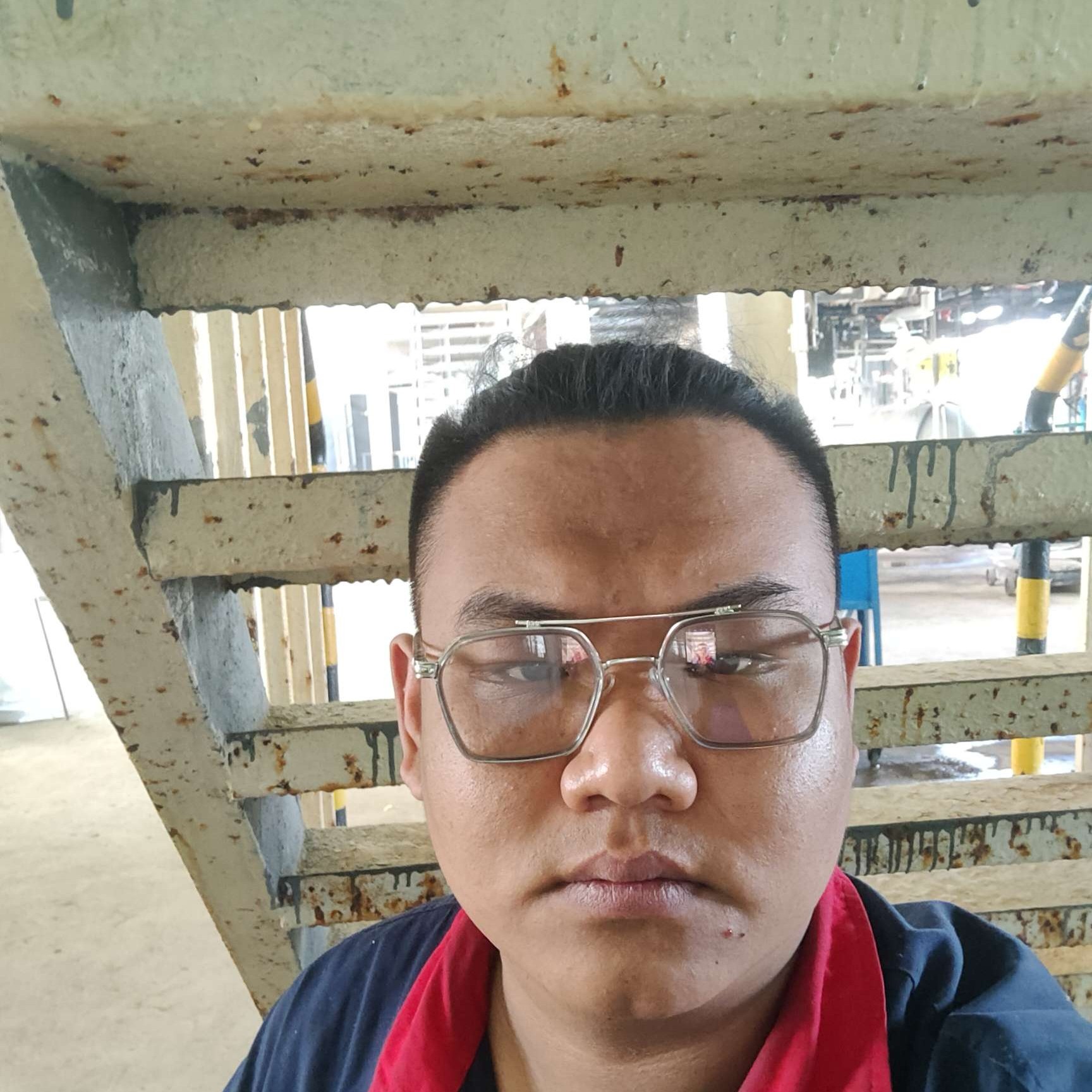 戒指放弃自然的照片