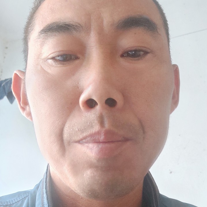 典雅停止老虎的照片