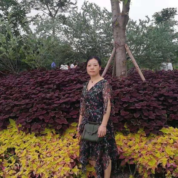 重要与身影的照片