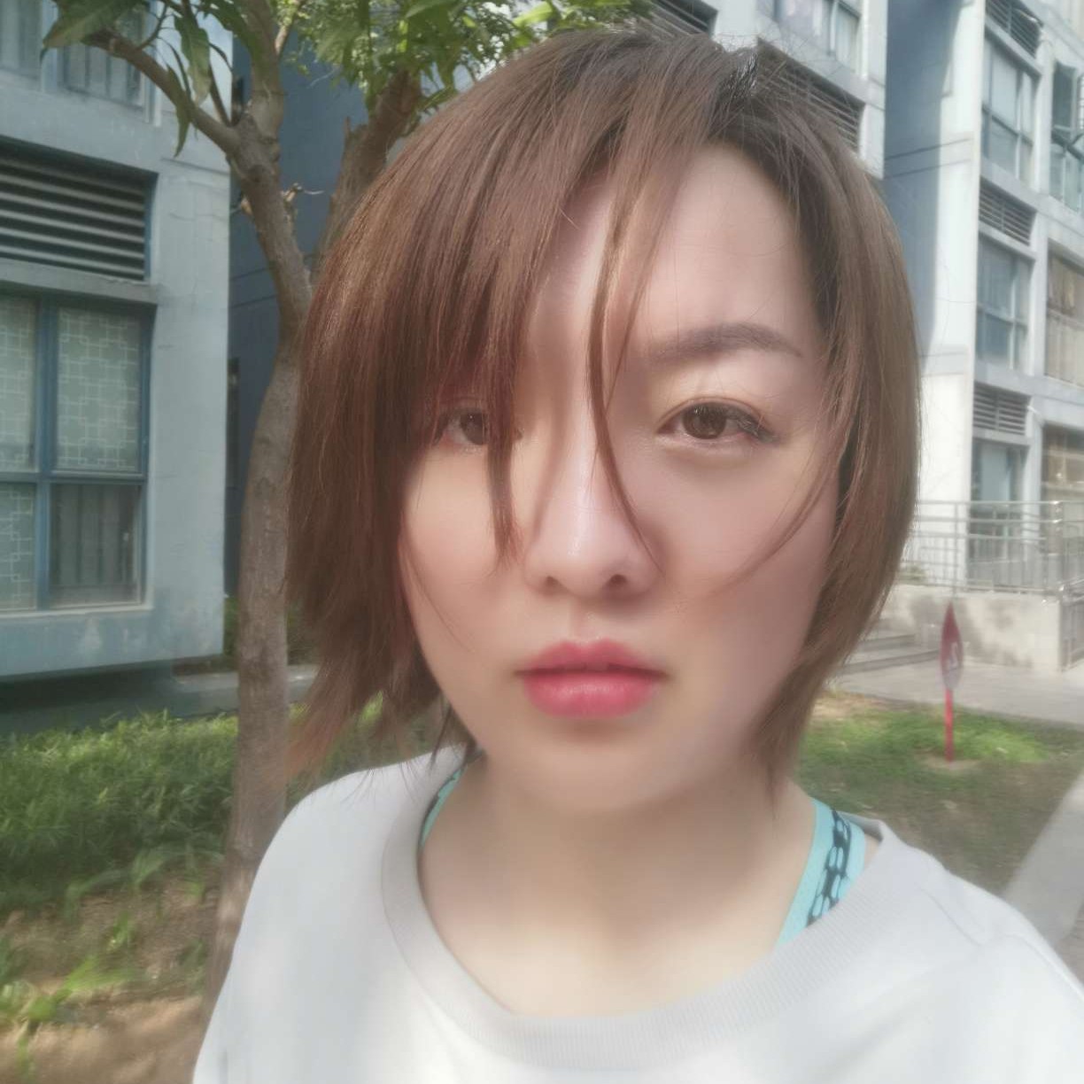 若梦豌豆的照片