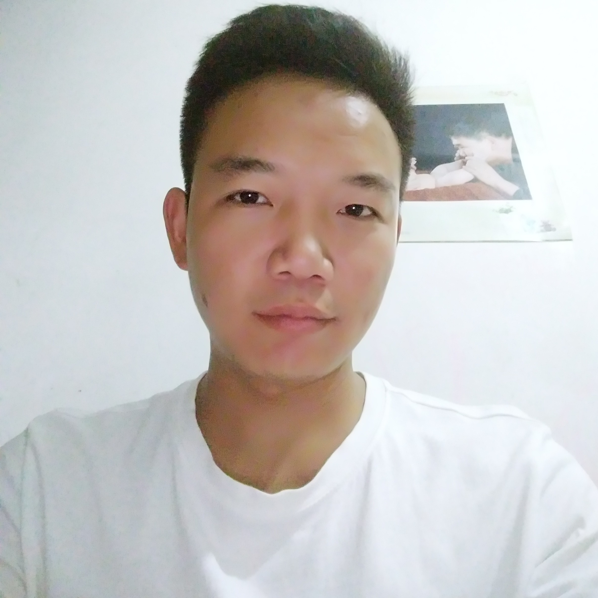 怕孤独还毛豆的照片