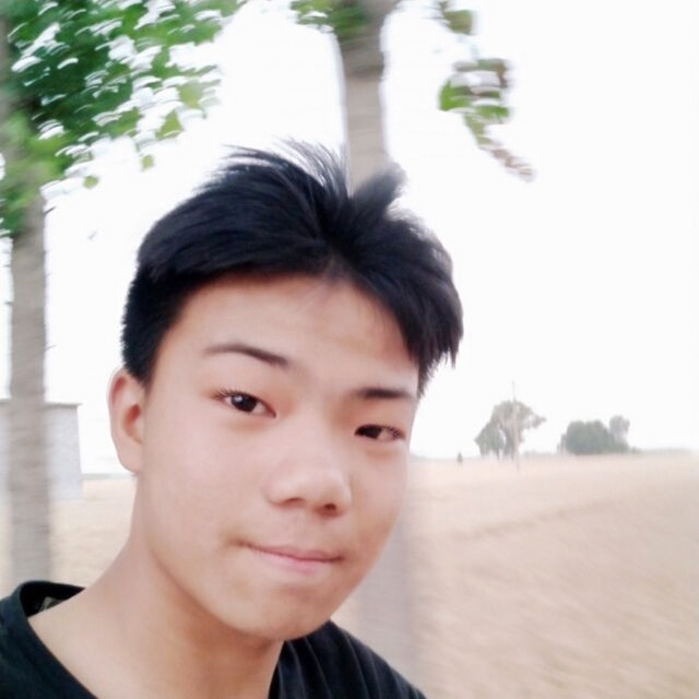镜子的自然的照片