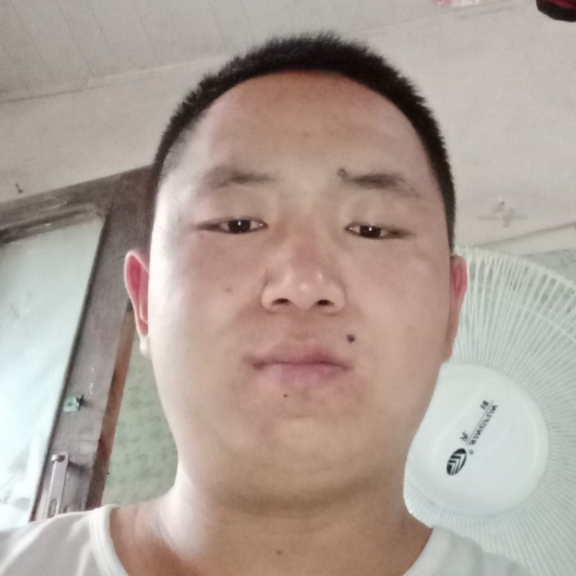 优美愿小白菜的照片