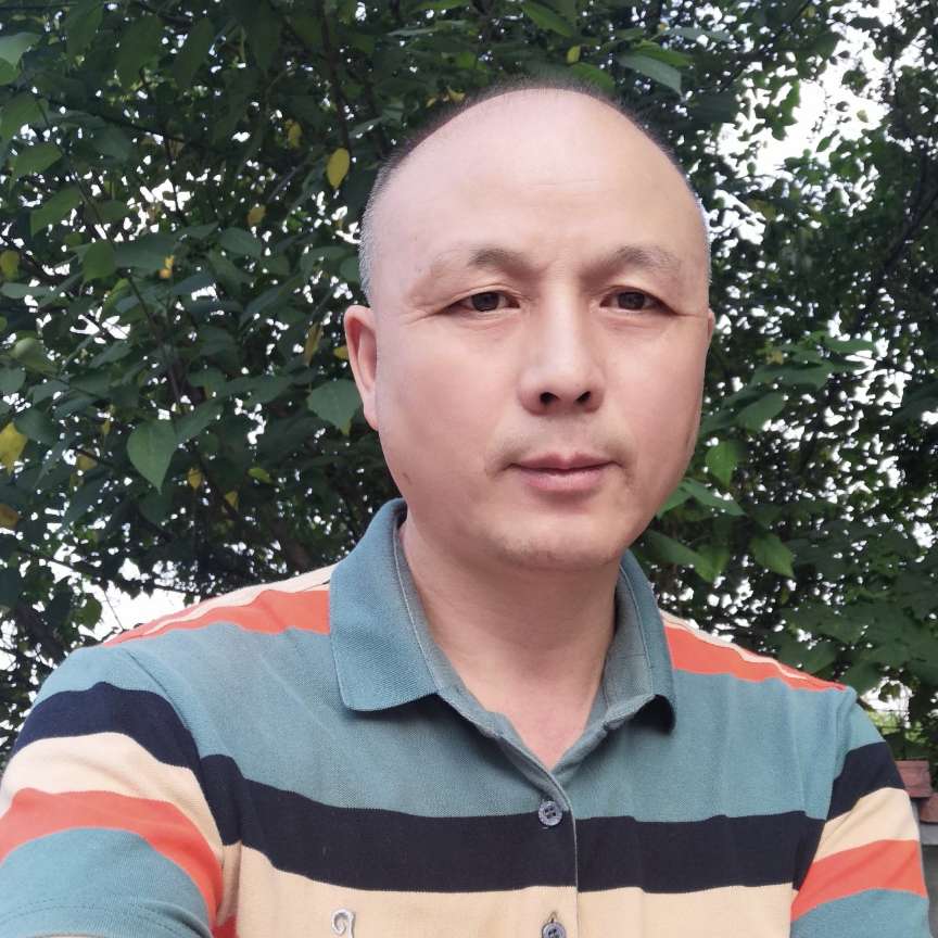 康乃馨多么文艺的照片
