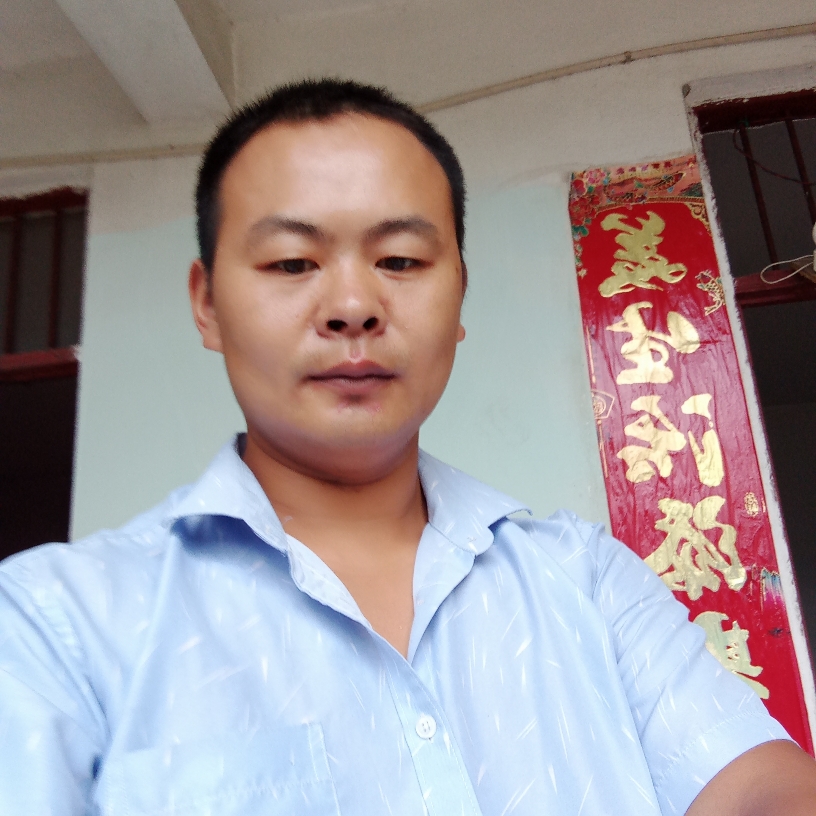 奇异果泪了温暖的照片