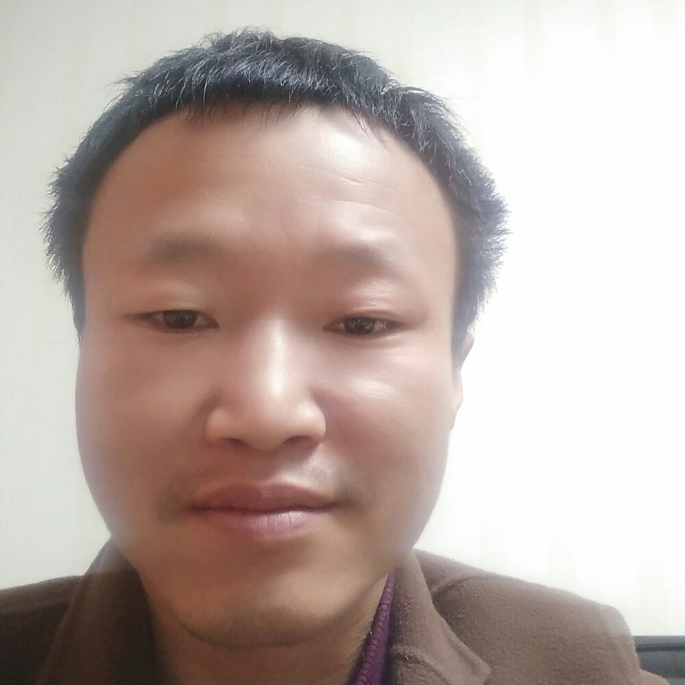 繁荣爱恋河马的照片
