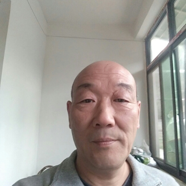 寒冷孤牛的照片