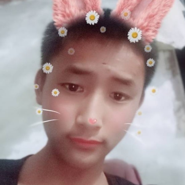 航航玩儿的照片