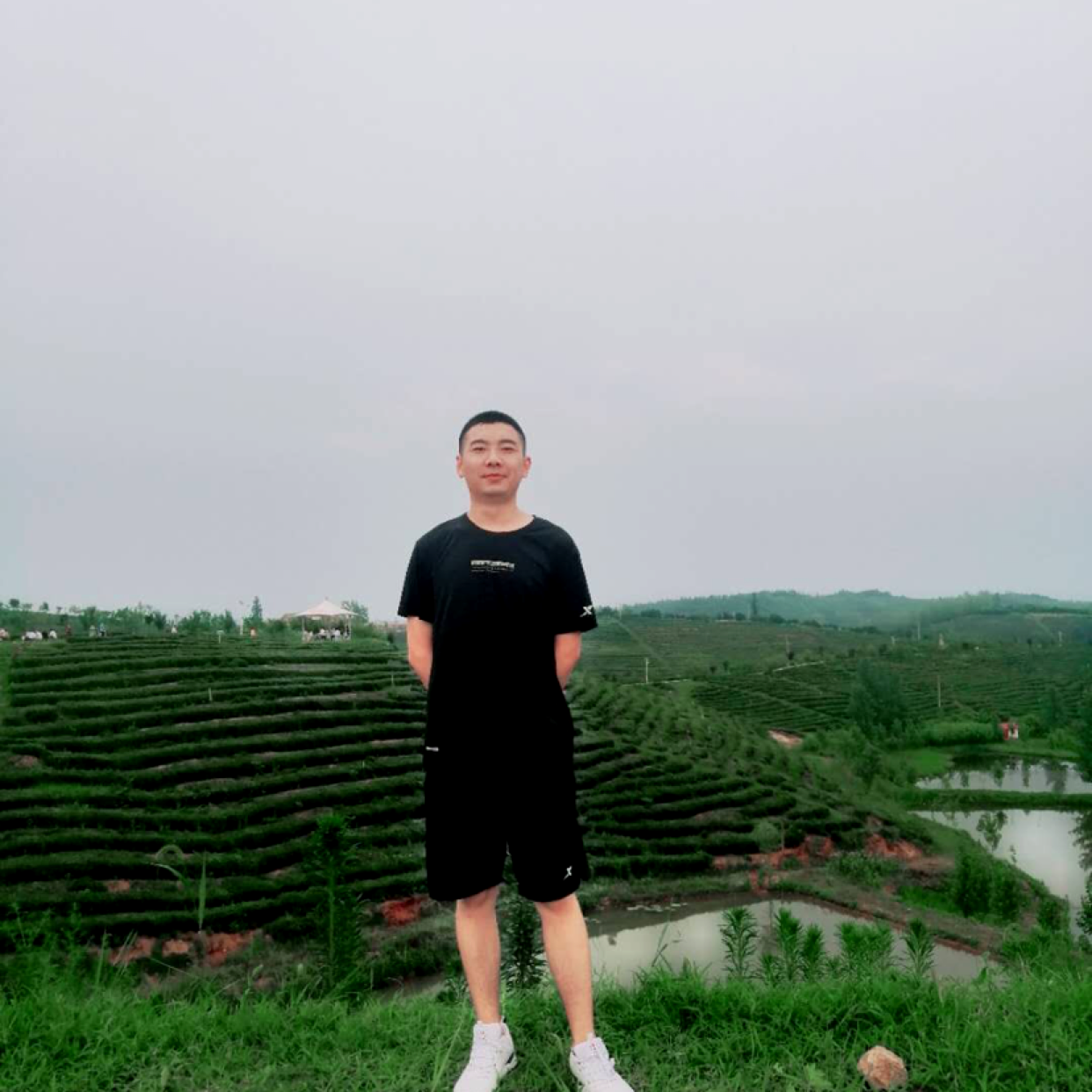 初夏晨曦。的照片