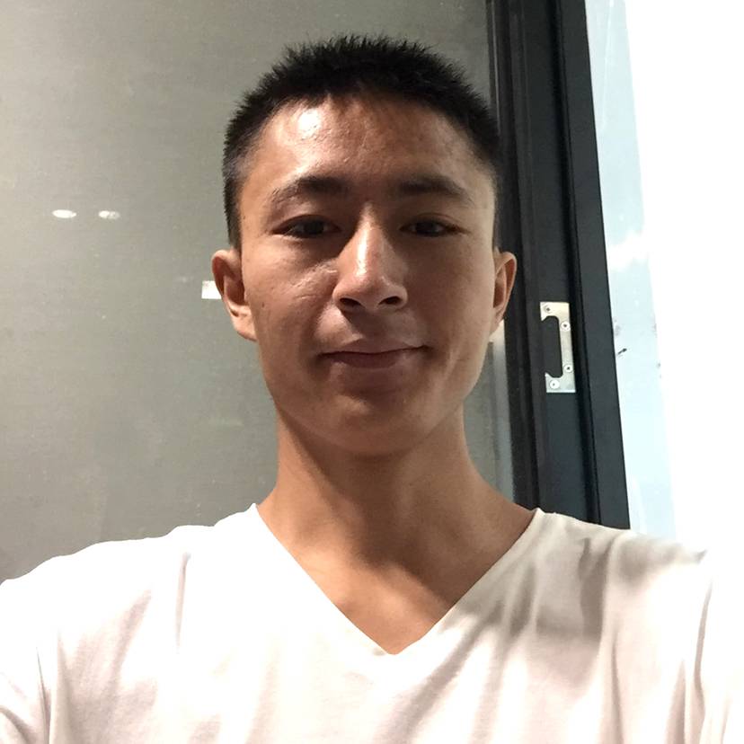 小熊猫坏蛋猫的照片
