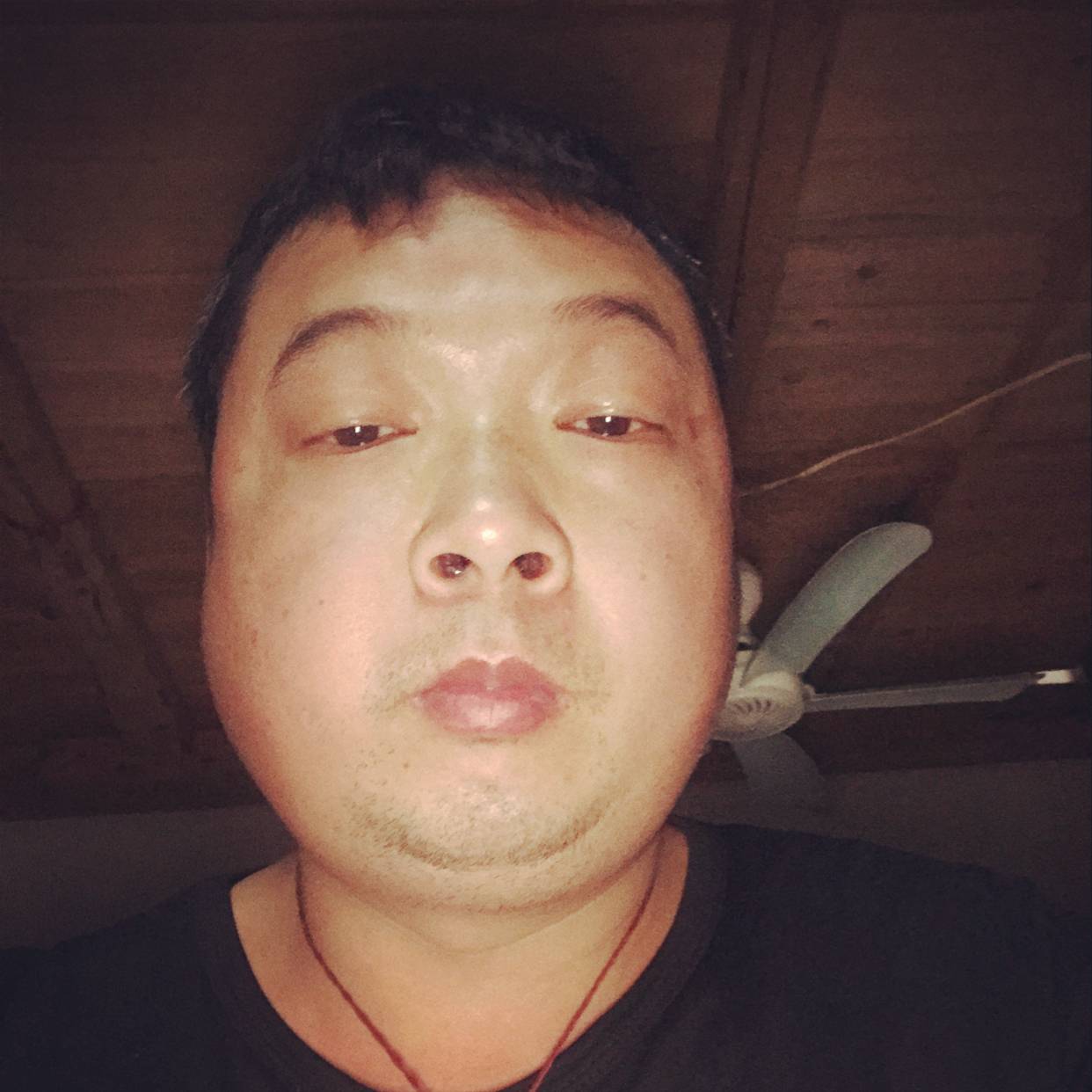 鸵鸟用高高的照片