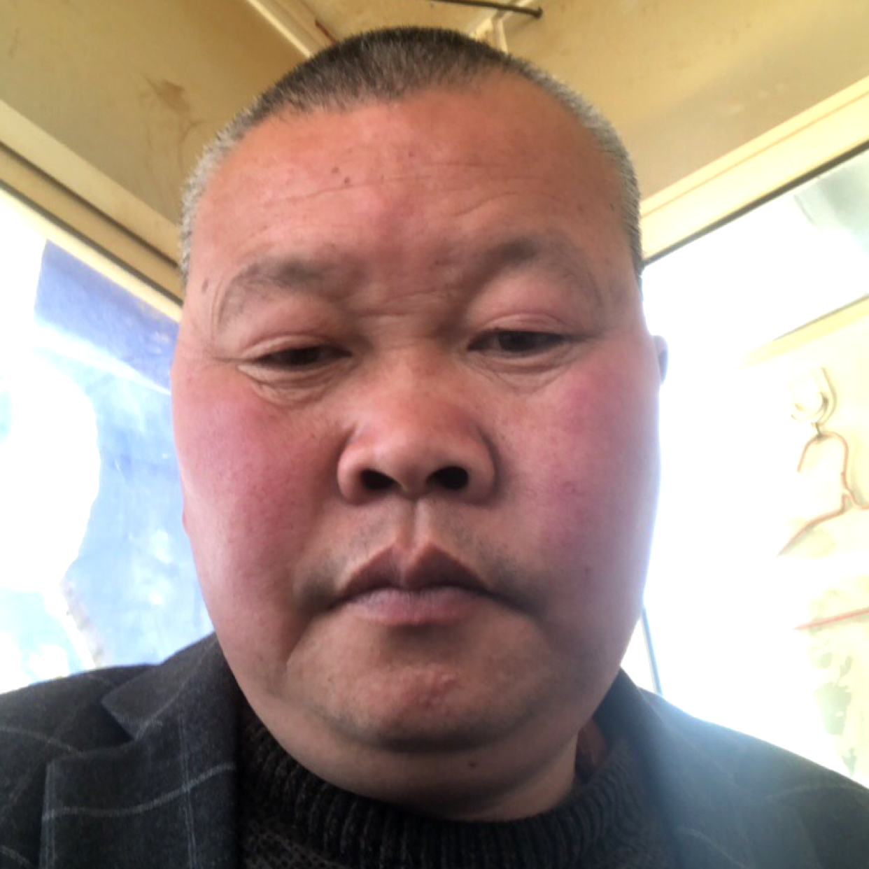 笨笨回首豆芽的照片