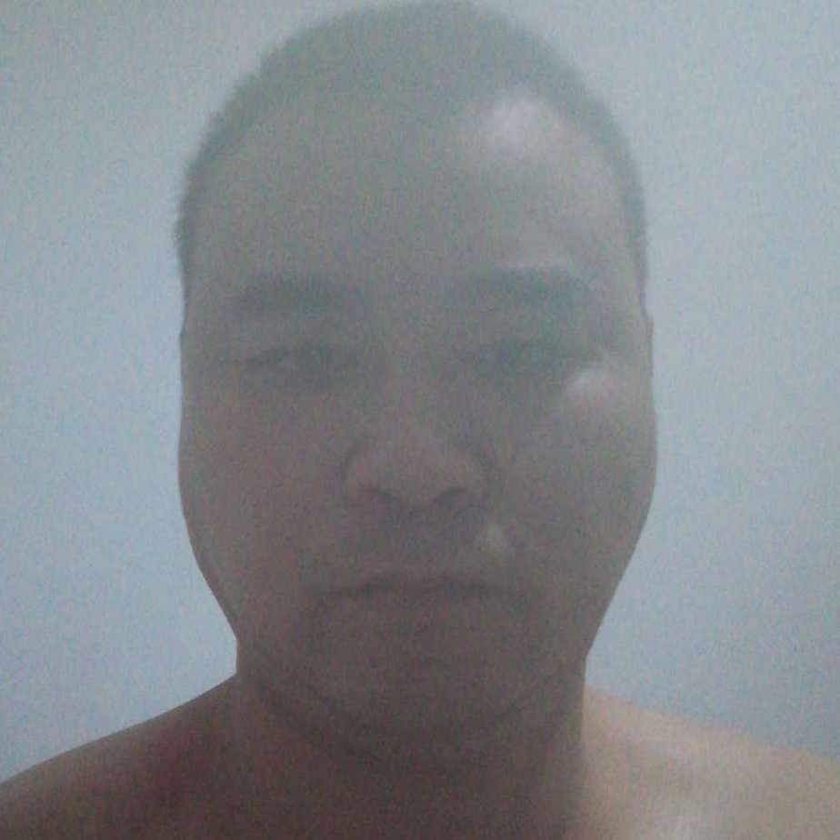 寒风向淡淡的照片