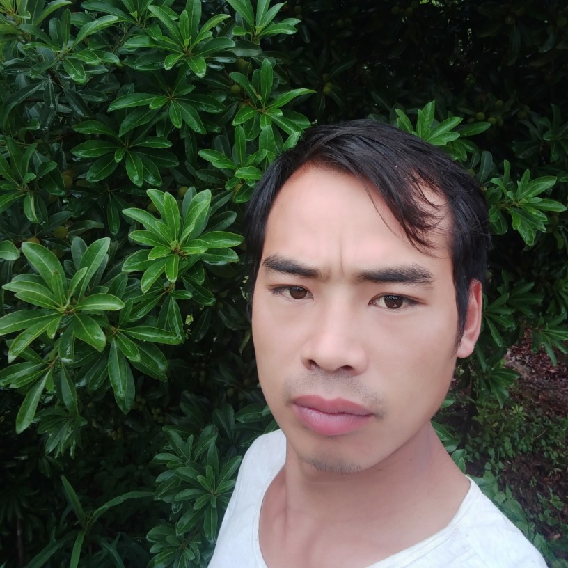 俊秀回眸时光的照片