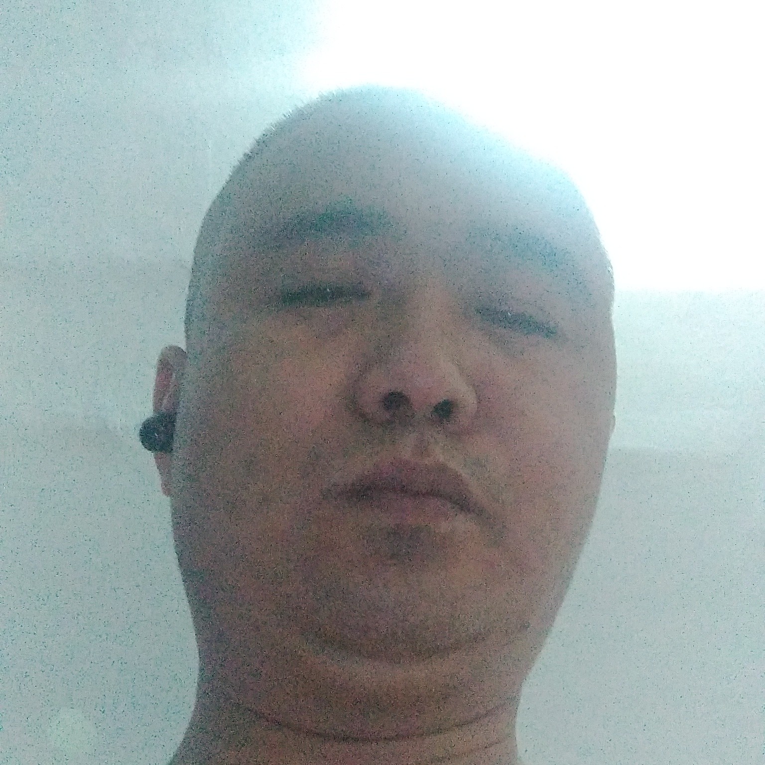 待森槿的照片