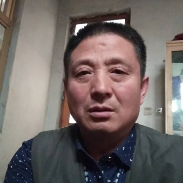 过时板栗的照片