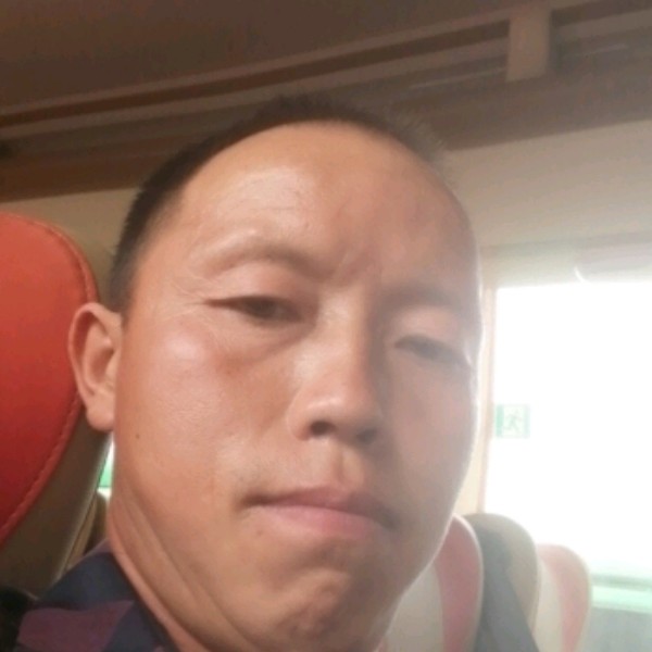 独特停止断夏的照片