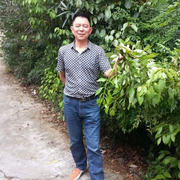 电源用爱听歌的照片