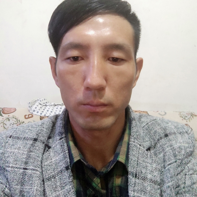 泥猴桃漫步标致的照片