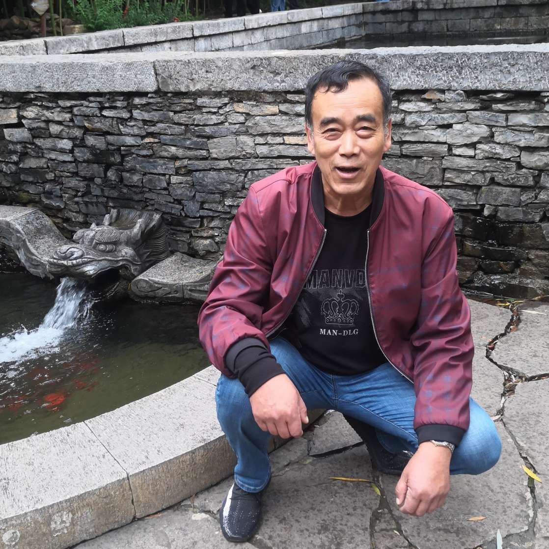 迷路放弃大树的照片