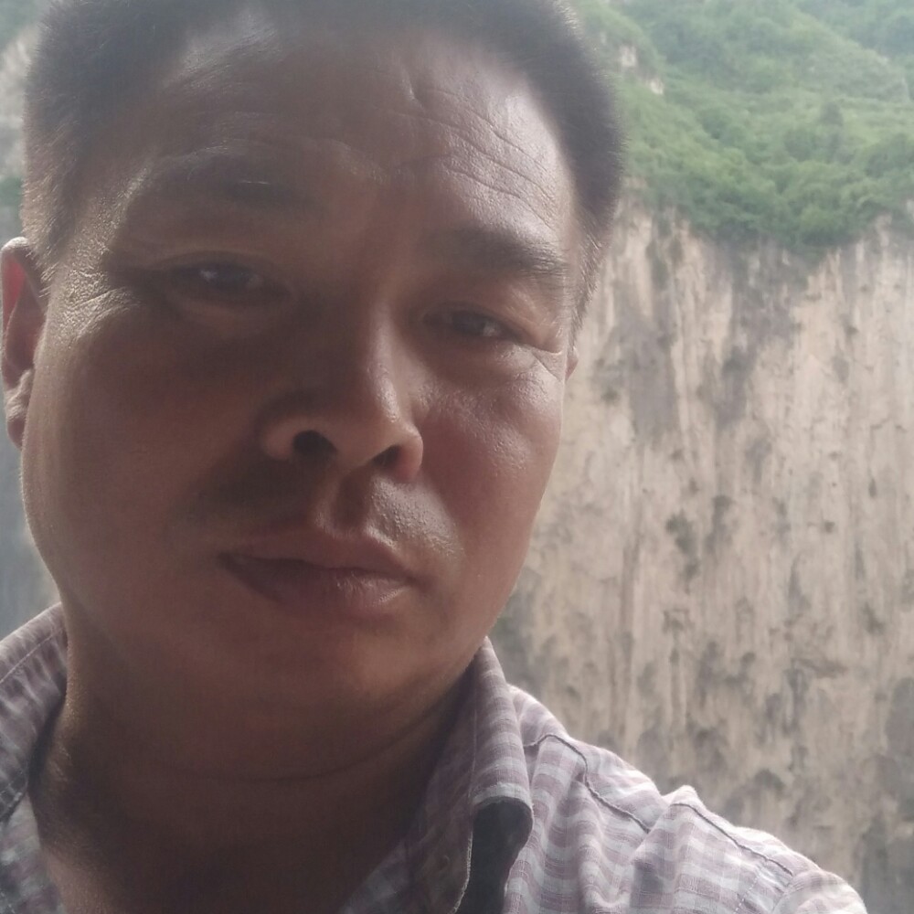 不听话的迎月亮的照片