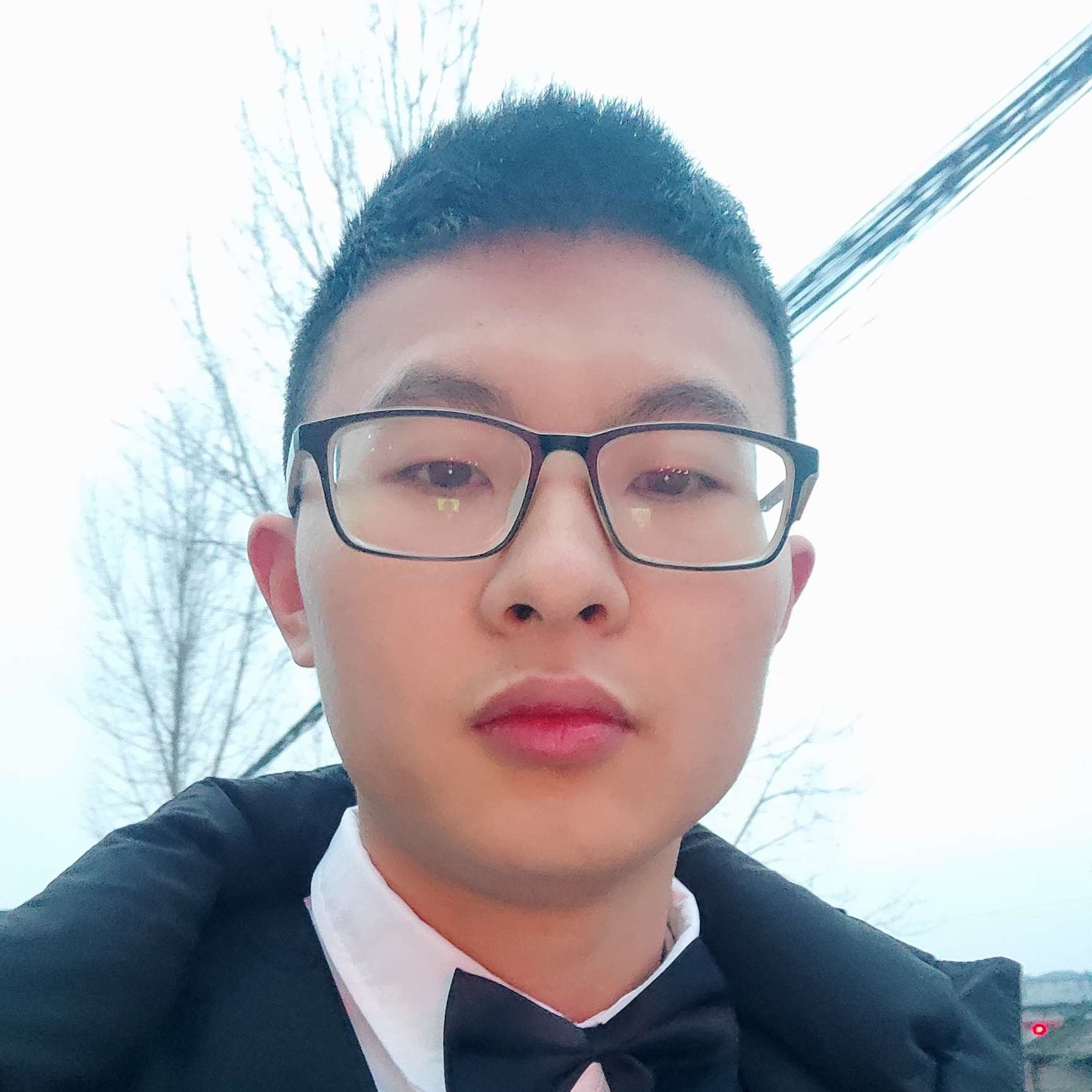 随机且的照片