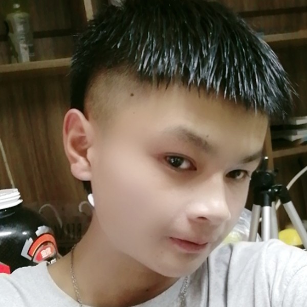 阳光漫步大地的照片
