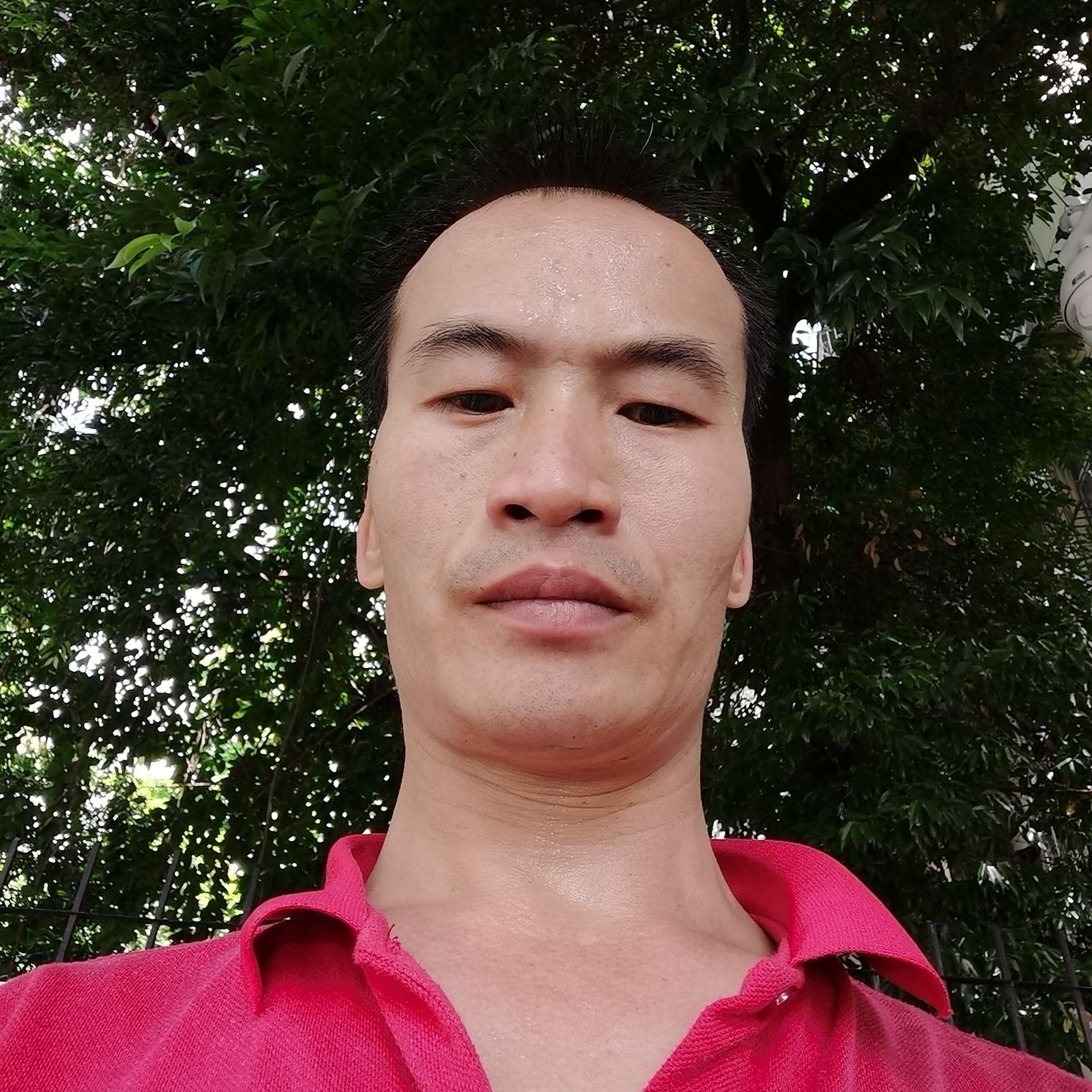 小蝴蝶有老实的照片