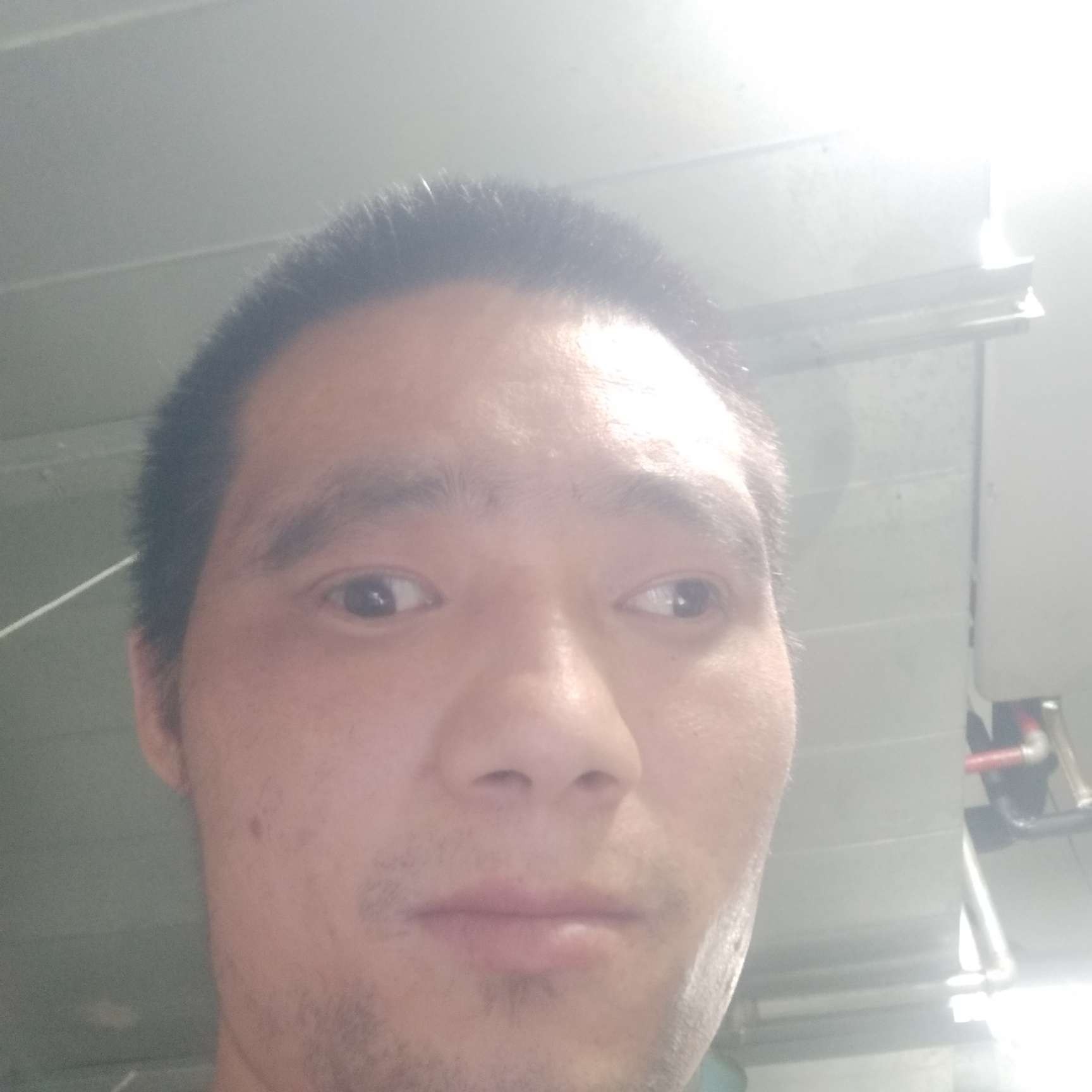 沉默给金鱼的照片