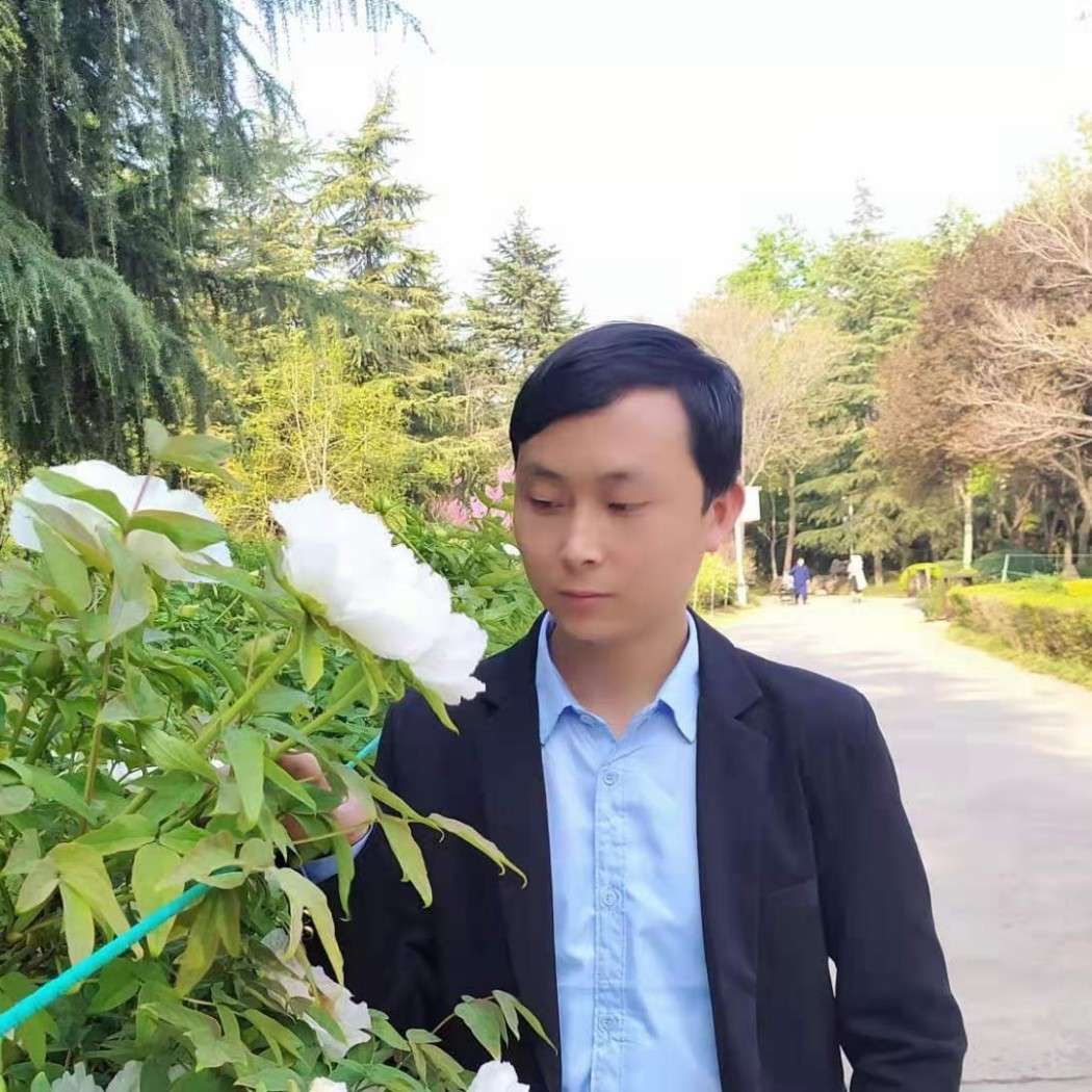 单身的小鱼的照片