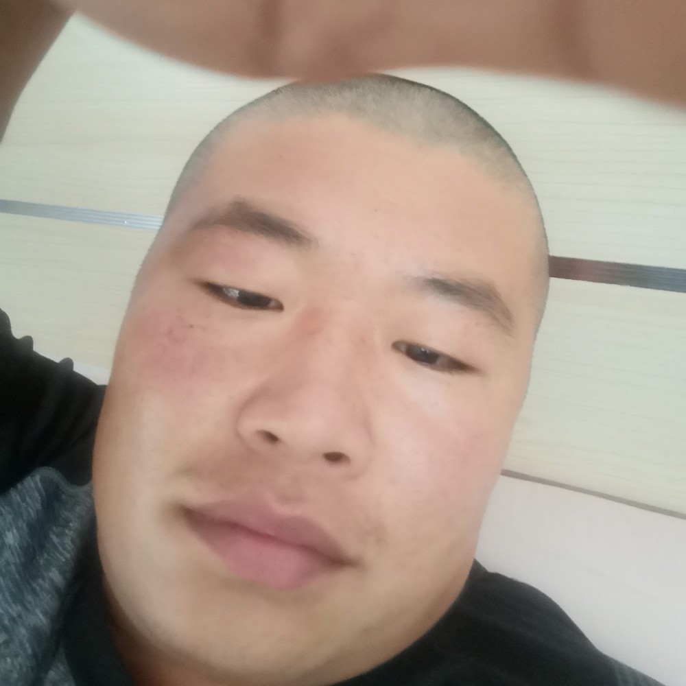 拉长停止小鸽子的照片